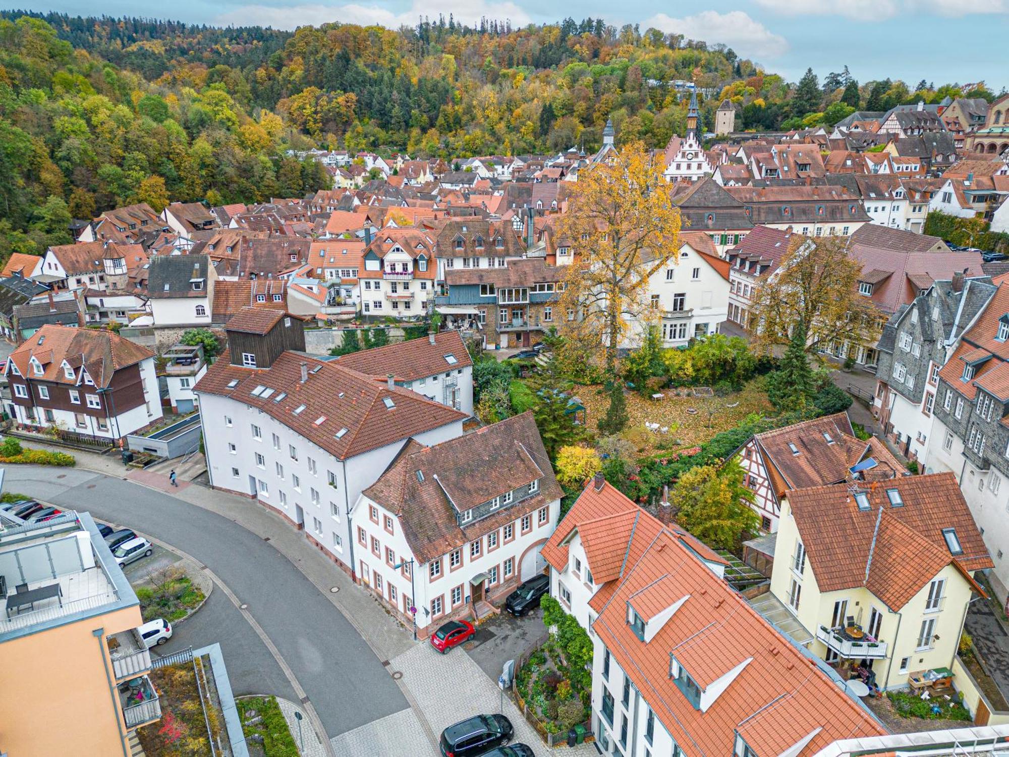 Lit Living Weinheim Altstadt - Boutique Apartments - Parking Екстер'єр фото