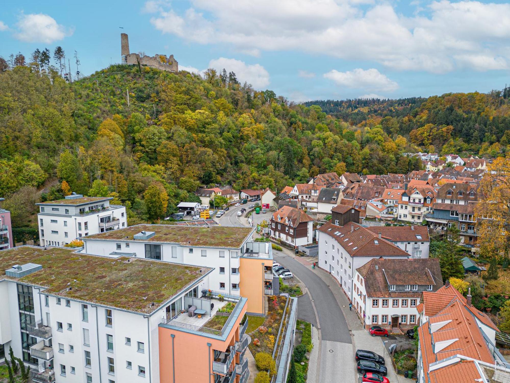 Lit Living Weinheim Altstadt - Boutique Apartments - Parking Екстер'єр фото